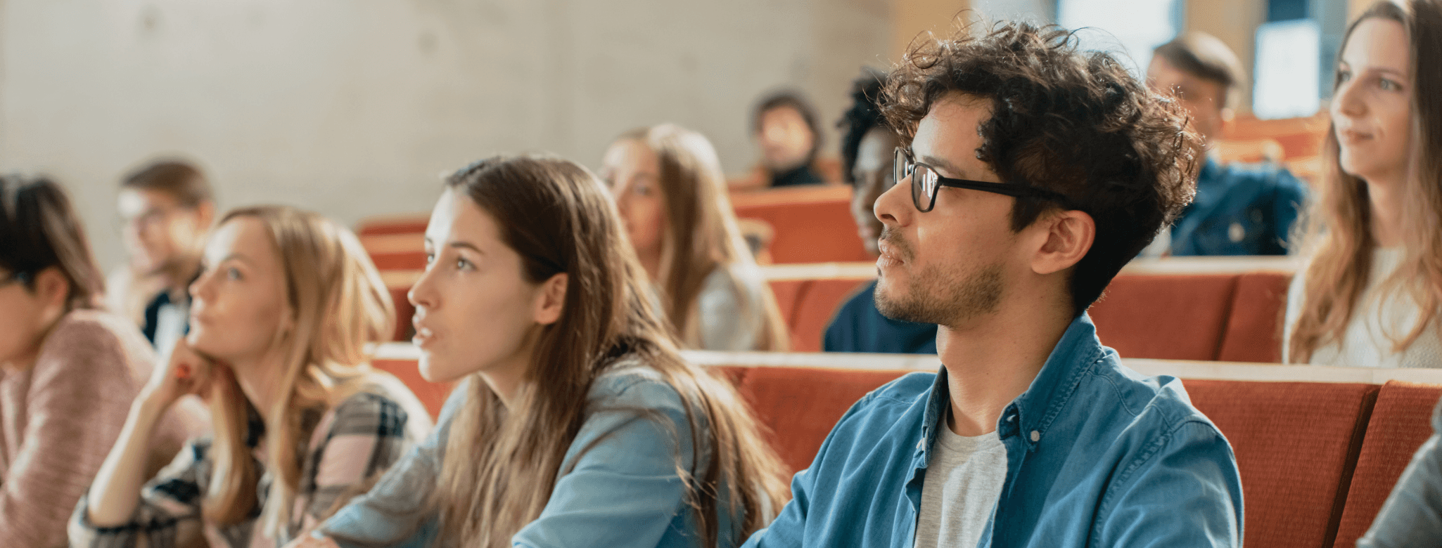 Best Program to Learn German 