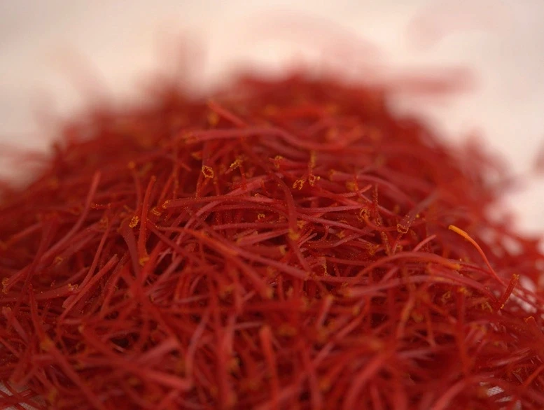 Close-up of saffron threads for professional ingredient enquiries.
