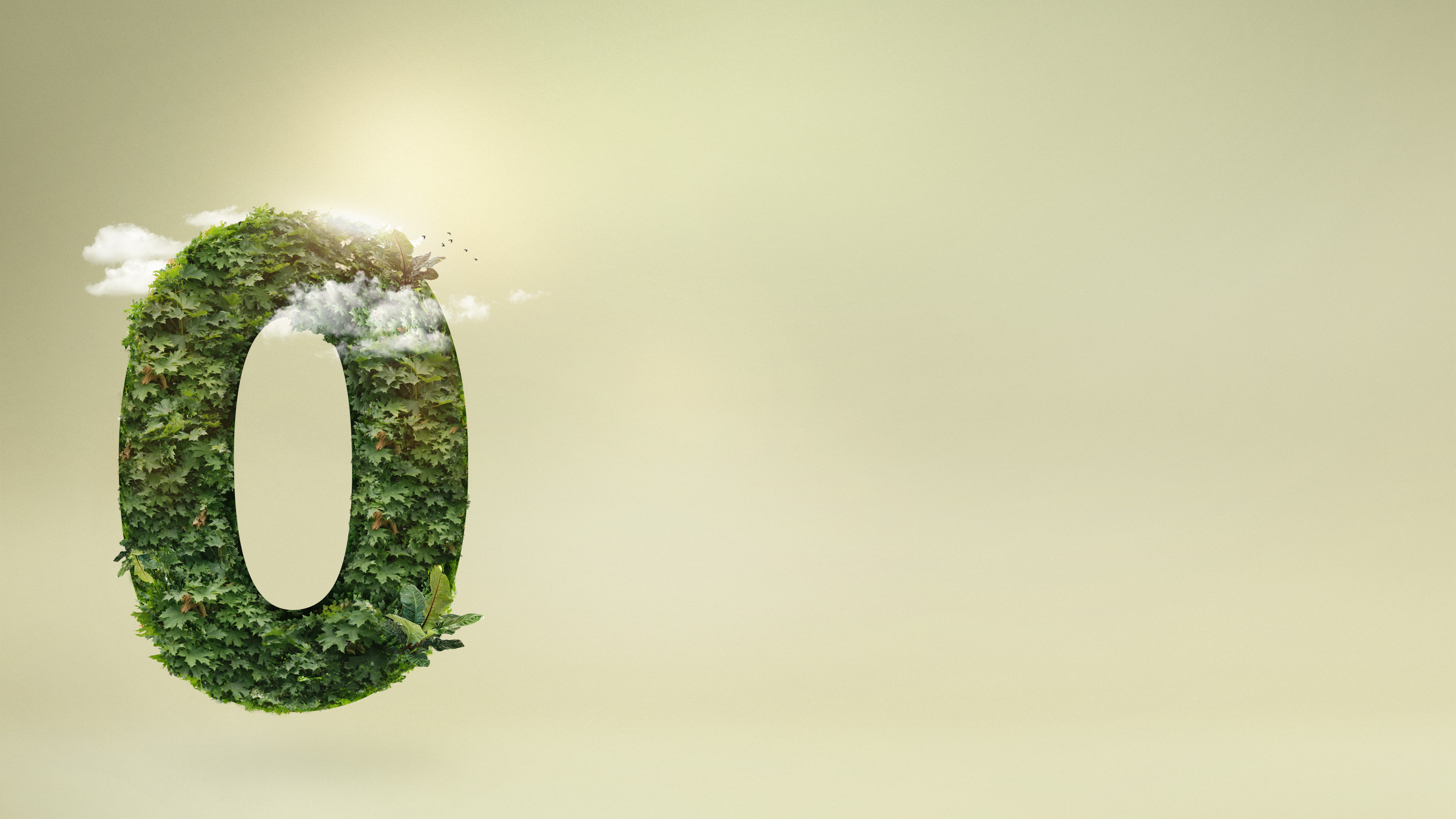 A blog explaining everything you need to know about Net Zero, its meaning, and its impact on global sustainability. 