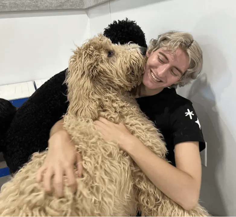 Dogs at Dogdrop Austin