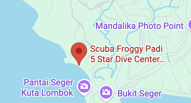 Scuba Froggy lombok dive center scuba diving center indonesia shop location