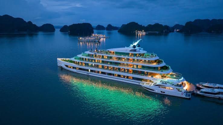 Cruises & Tours