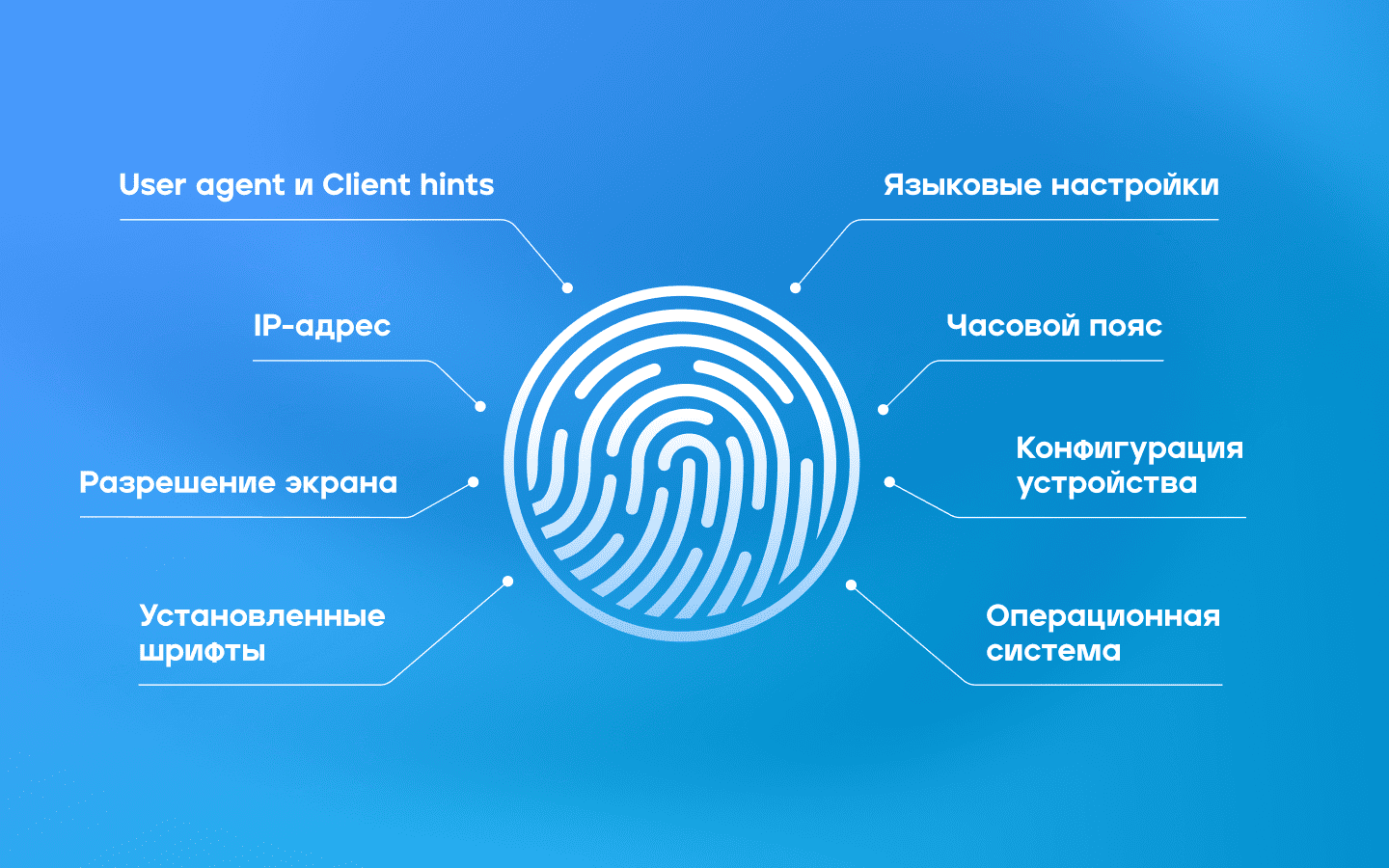 Какая информация содержится в цифровом отпечатке