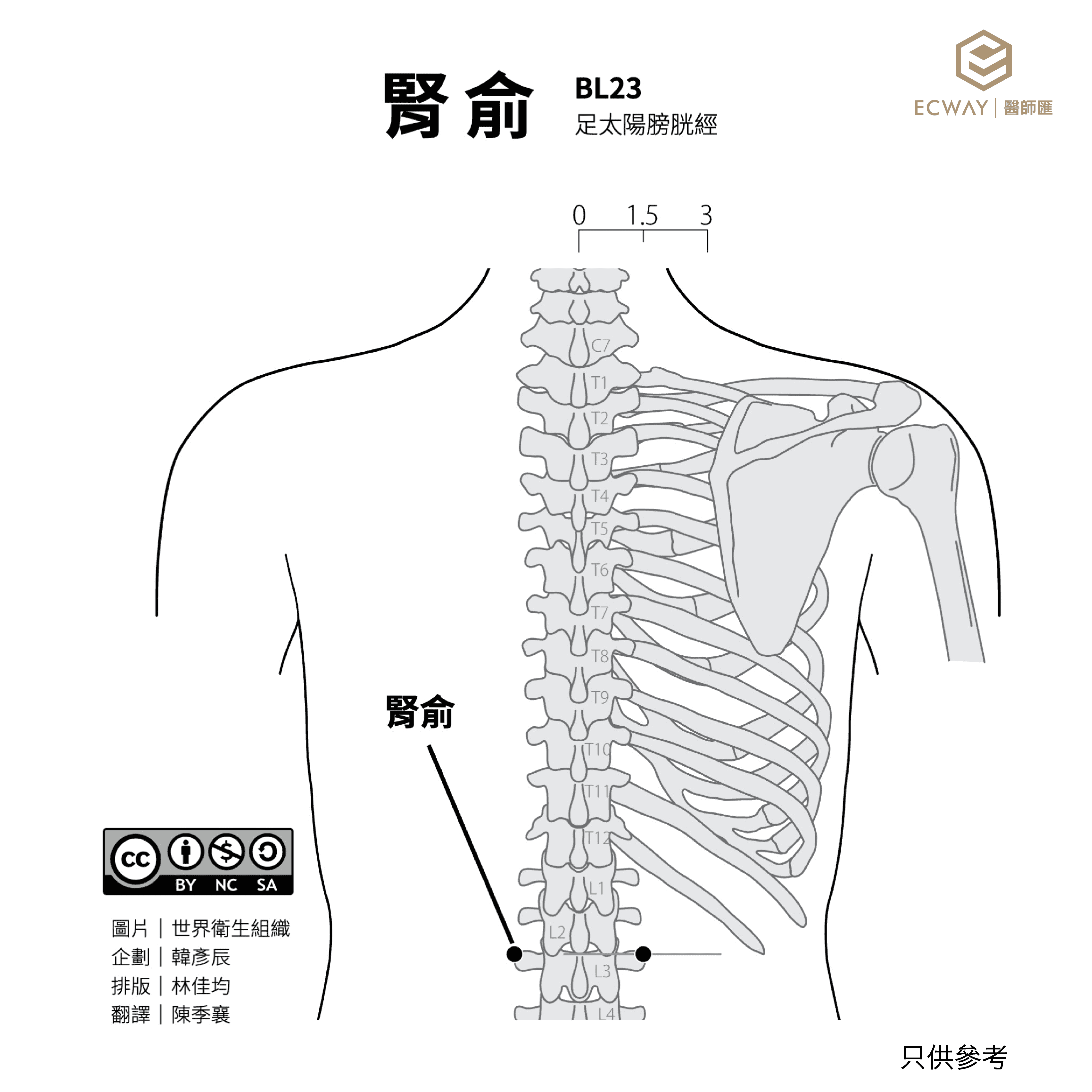 腎俞穴