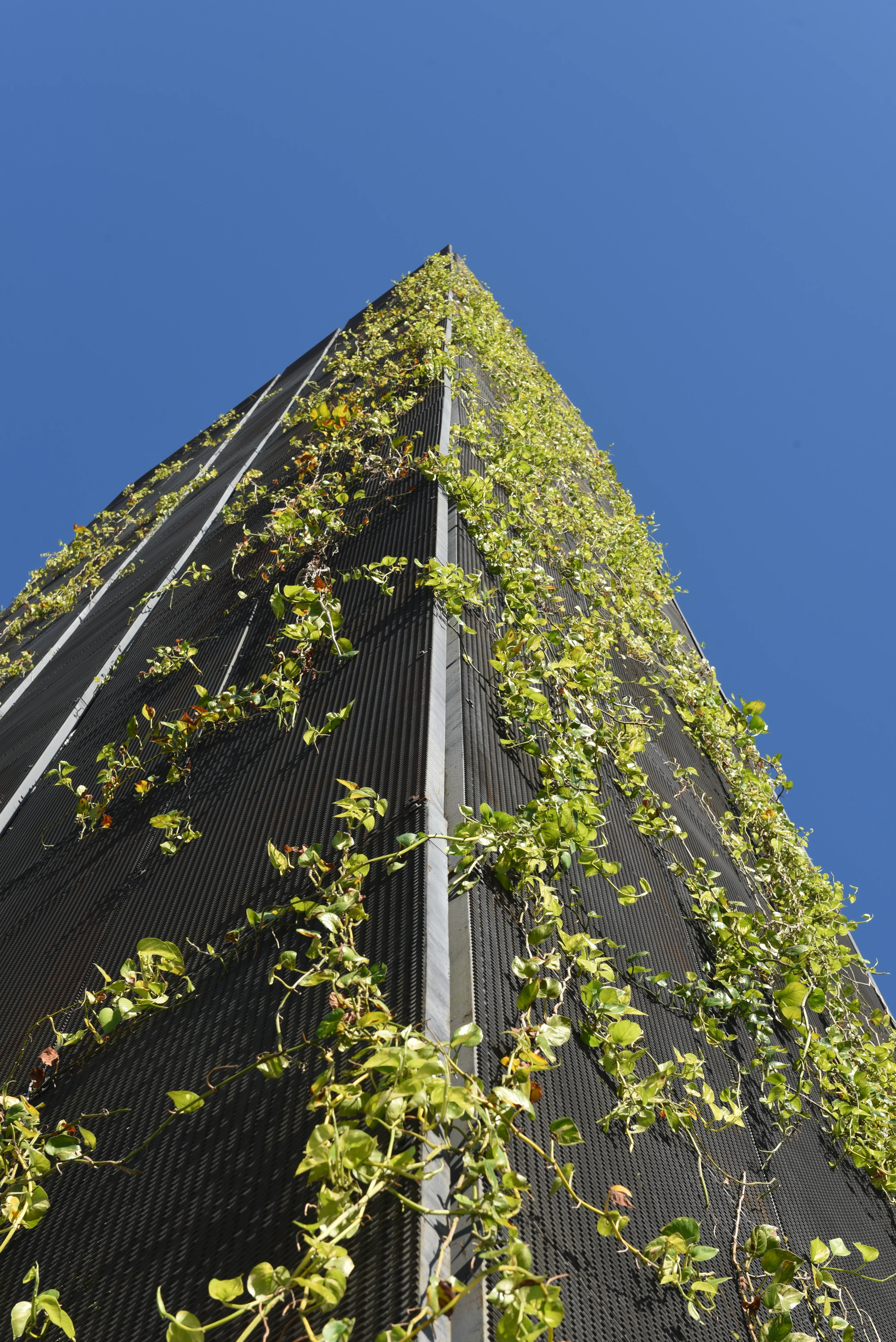 Exterior view of Ibis Style Hotel project by Asima Architects