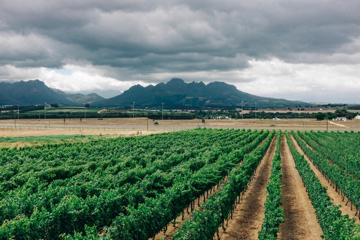 FRANSCHHOEK
