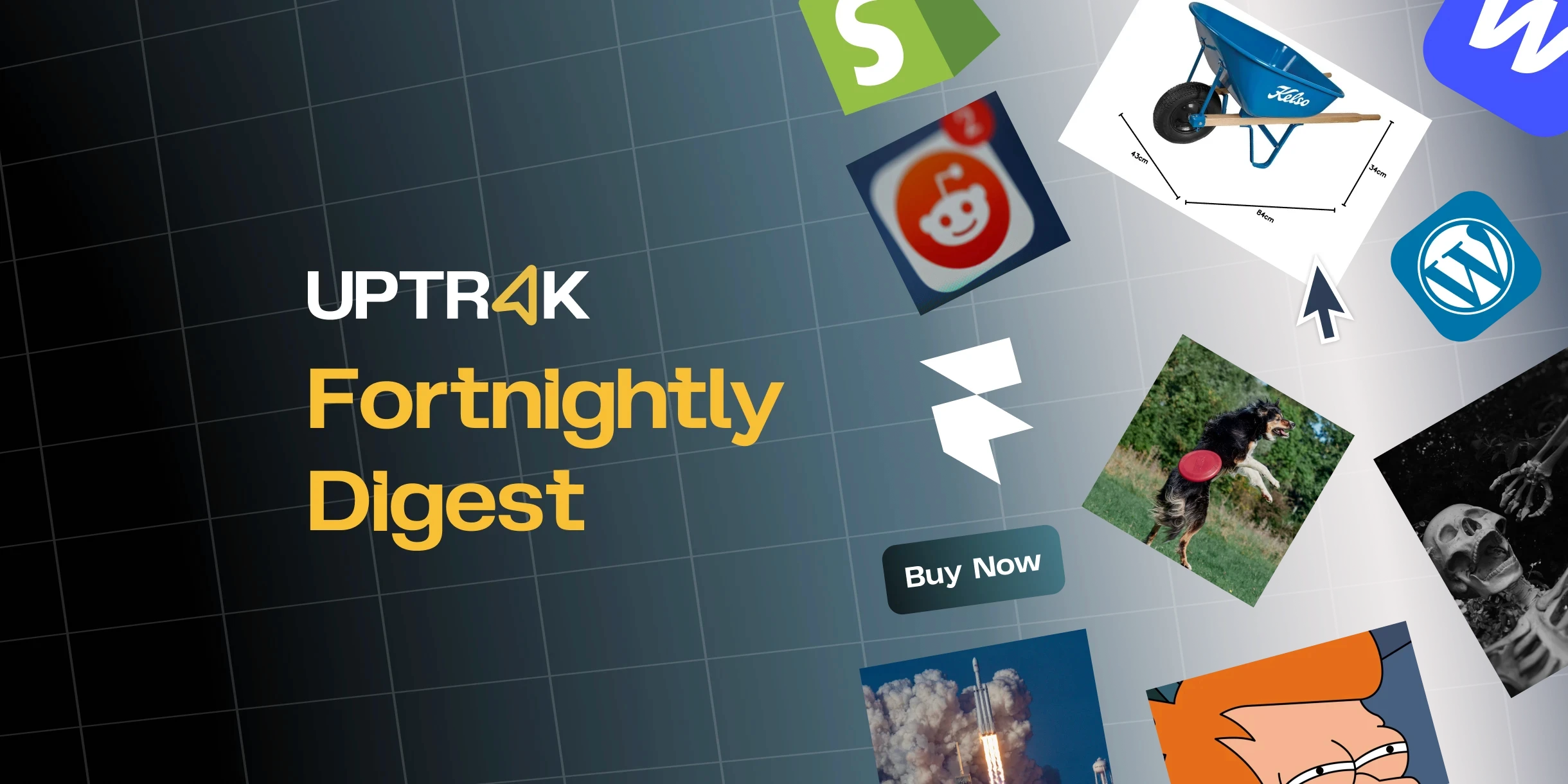 Uptrak Weekly Digest Promo banner