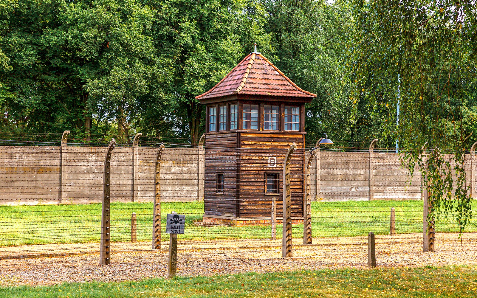 Vaktturn við Auschwitz-Birkenau búðirnar með gaddavírsgirðingu og trjám í bakgrunninum.