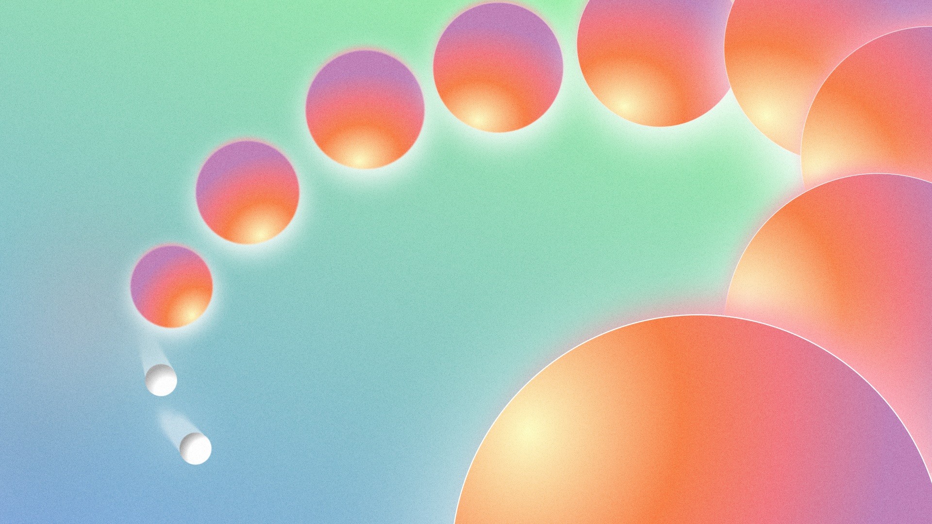 Terem appointment screen project — visual 14