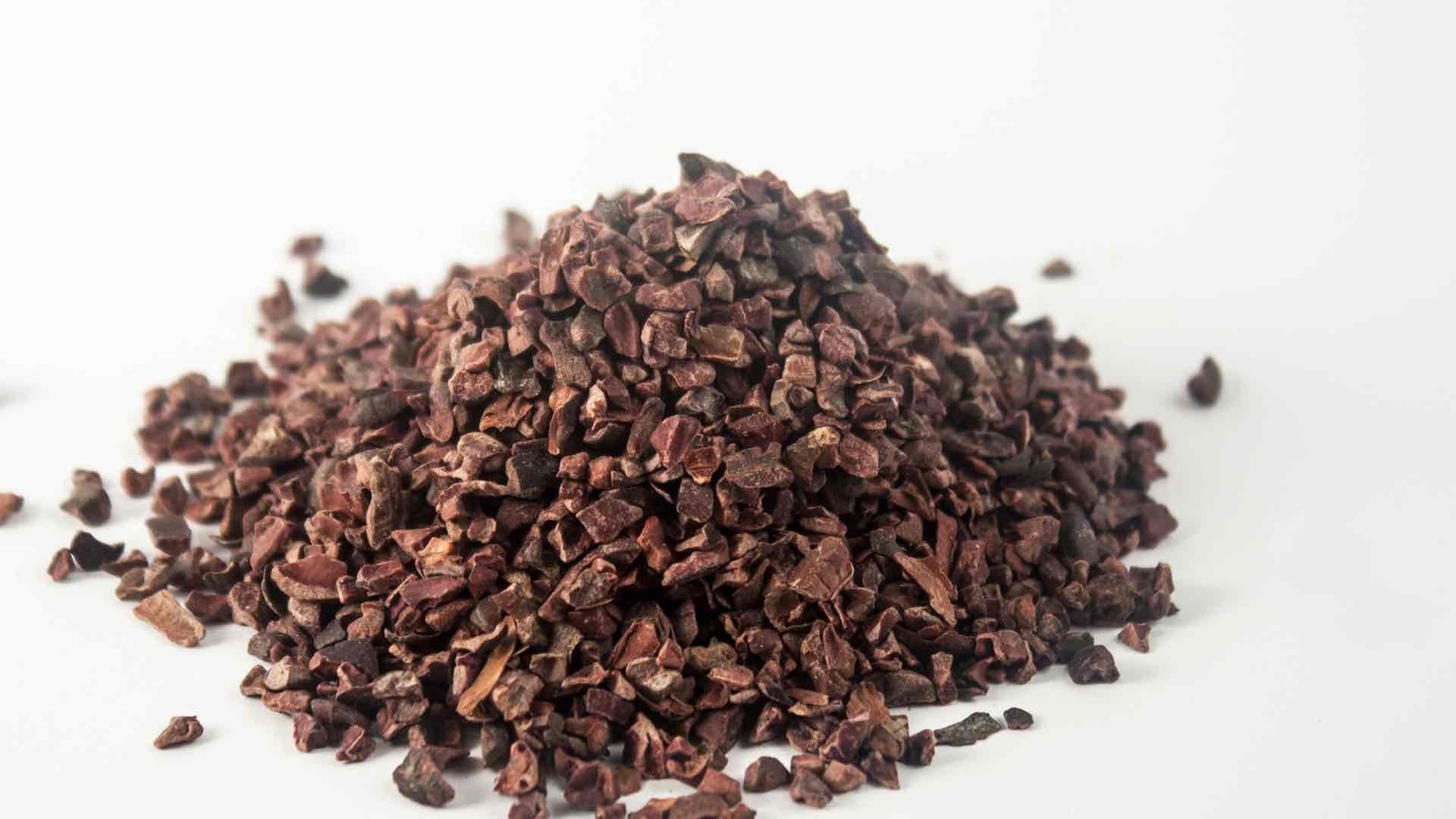 cacao nibs