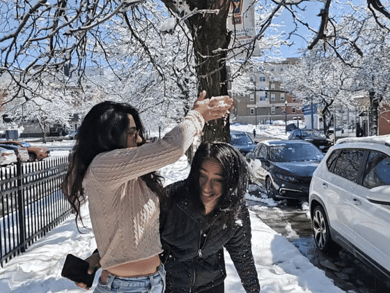 Two friends burst into laughter as snow falls from the branches above them