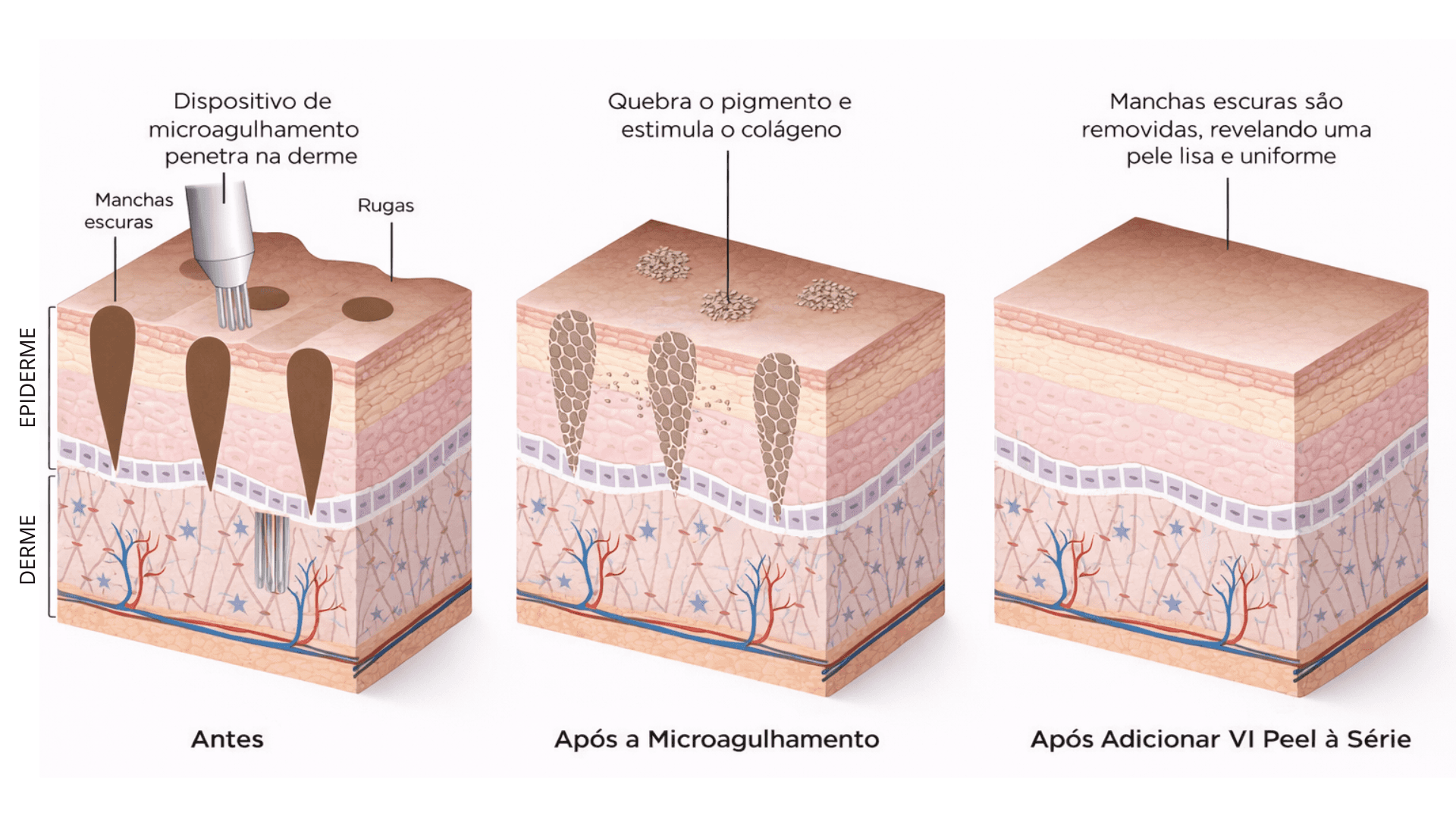 An image of Freelio's project ui