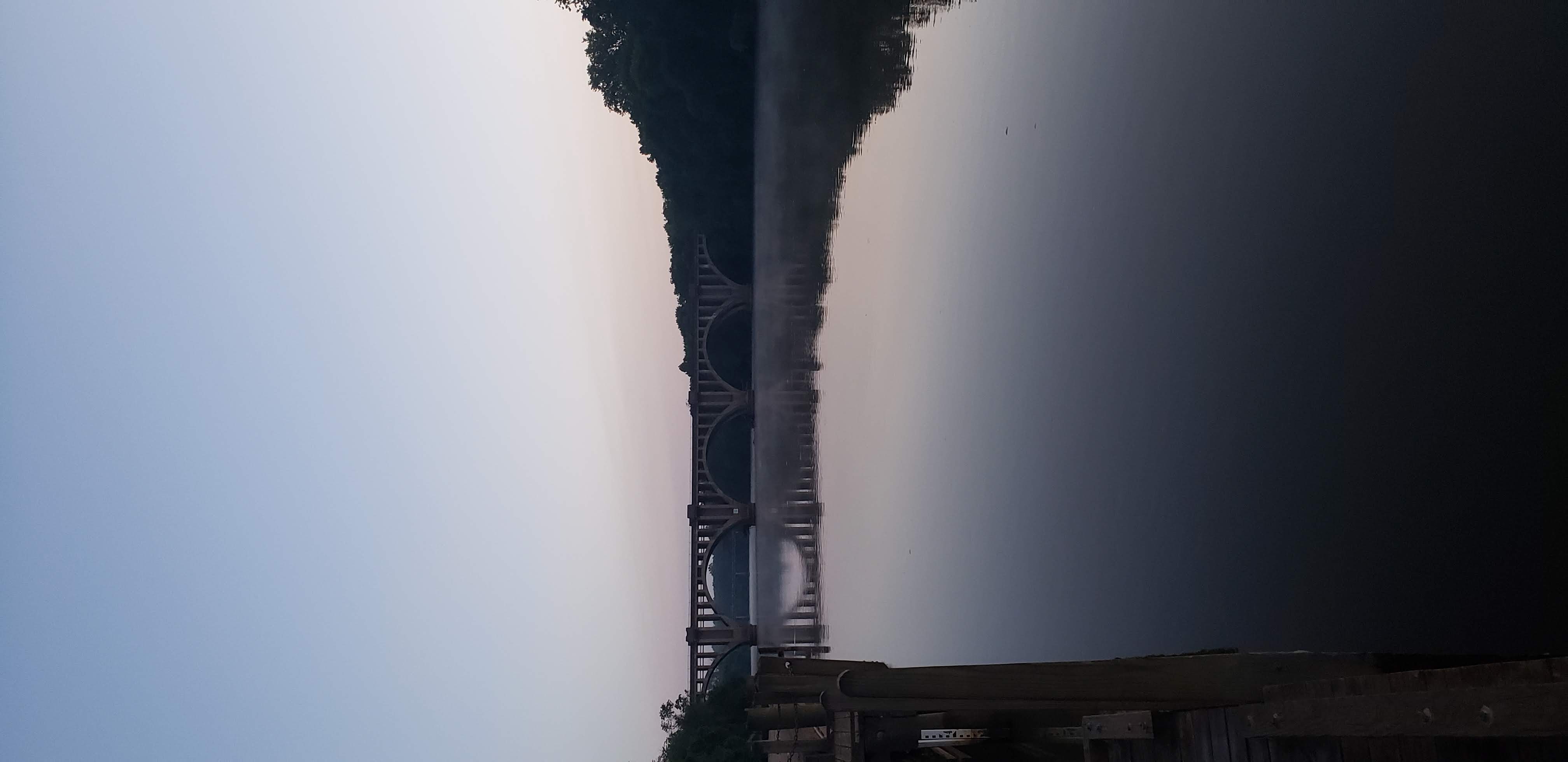 the bridge for nurture