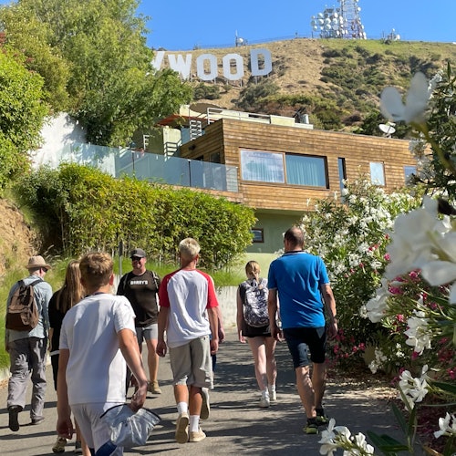 Luxury homes in the Hollywood Hills