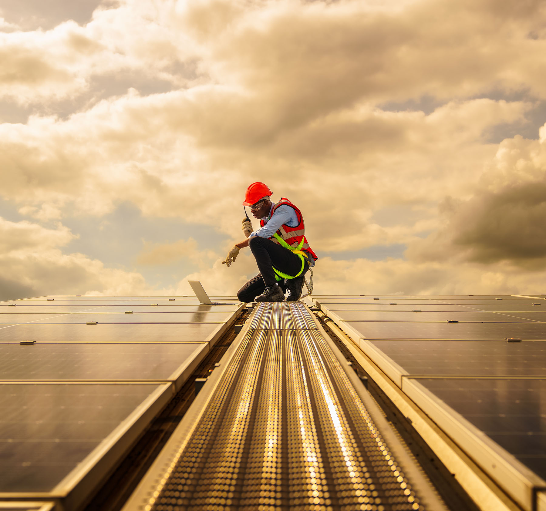 Solar panels in a field.