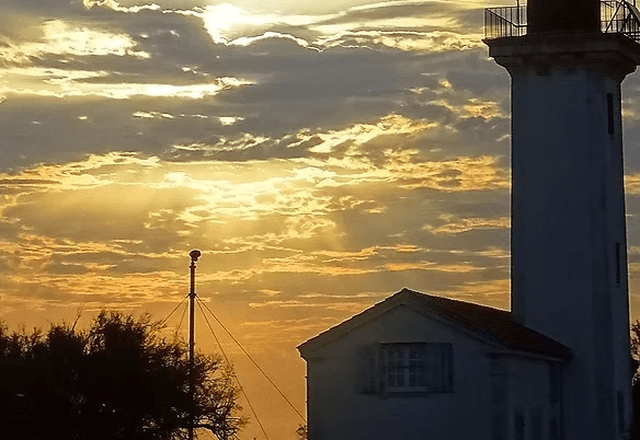 a woman getting a back massage at a spa