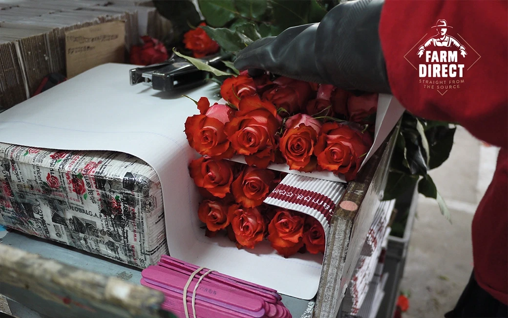 Willem van Maasdijk van FarmDirect