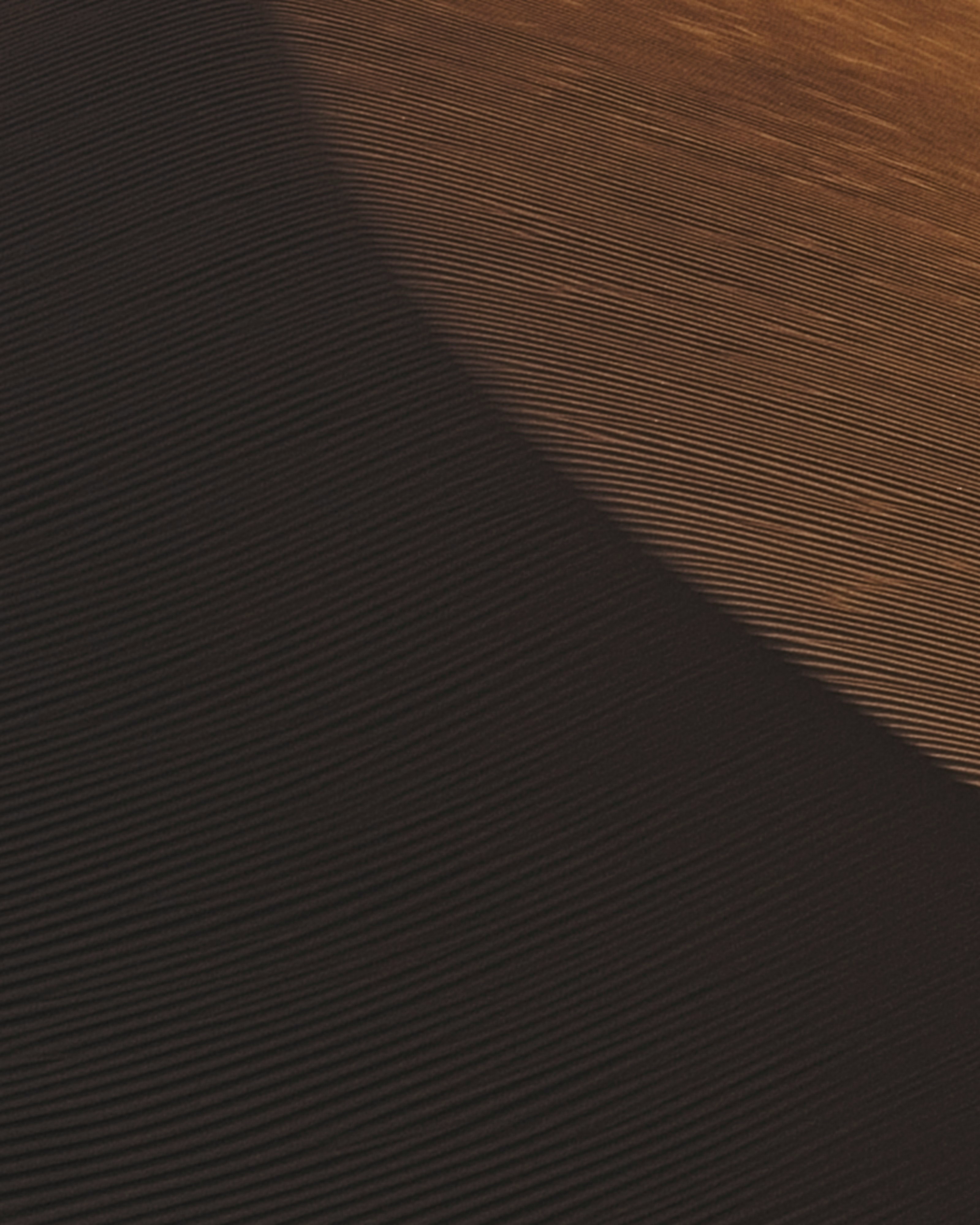 Desert sand dune with dramatic light and shadow.