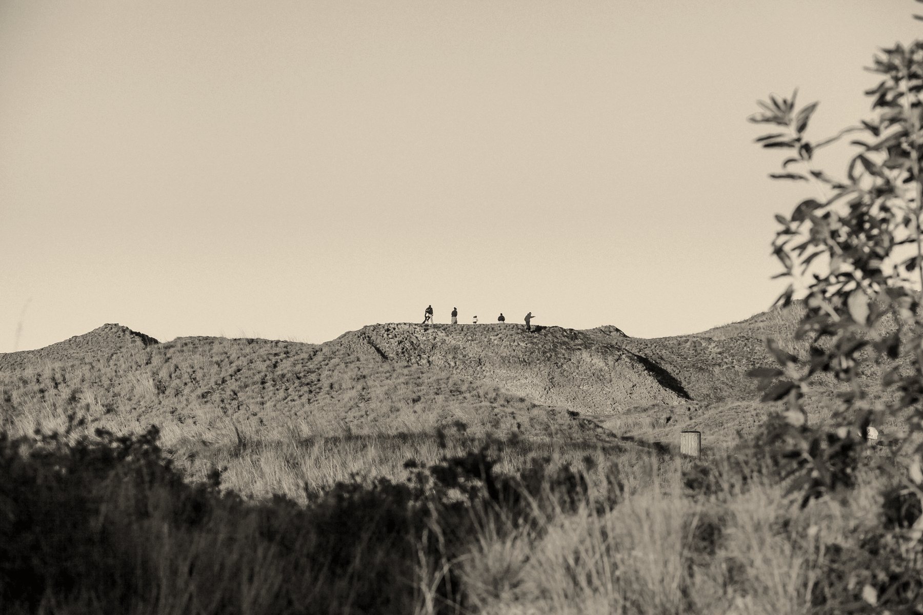 Hikers on a ridge at sundown