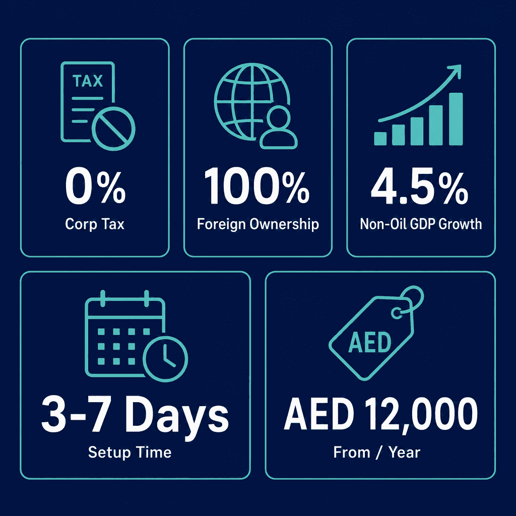 Infographic: Advice And Help To Businesses And Public Services In Planning, Organization, Efficiency And Control, Management Information Etc. Business License in Dubai