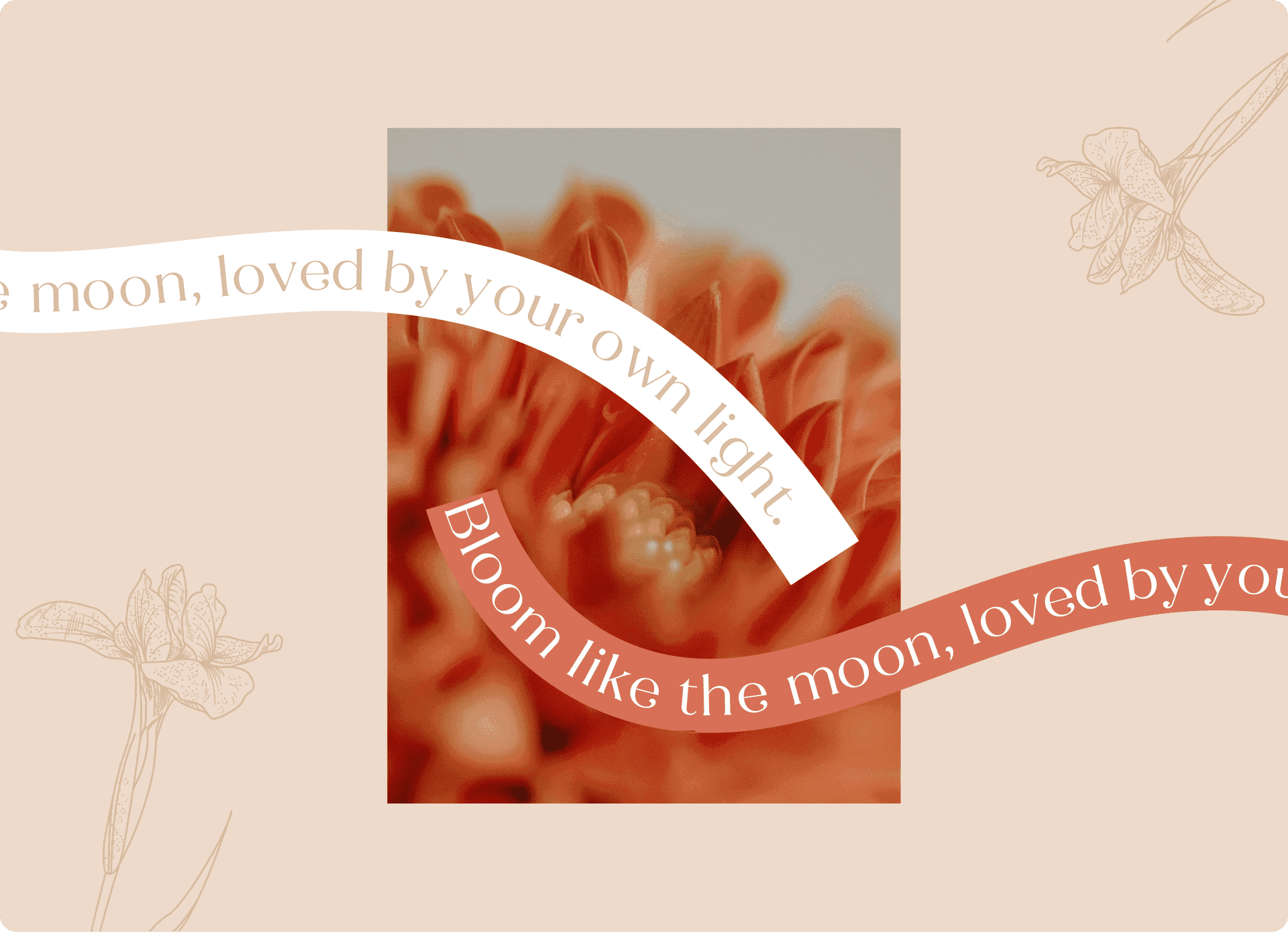 Lunthea 花藝品牌 形象設計