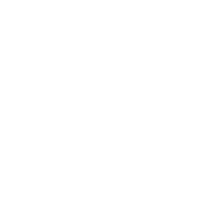 Dexis, dental scanner logo in white