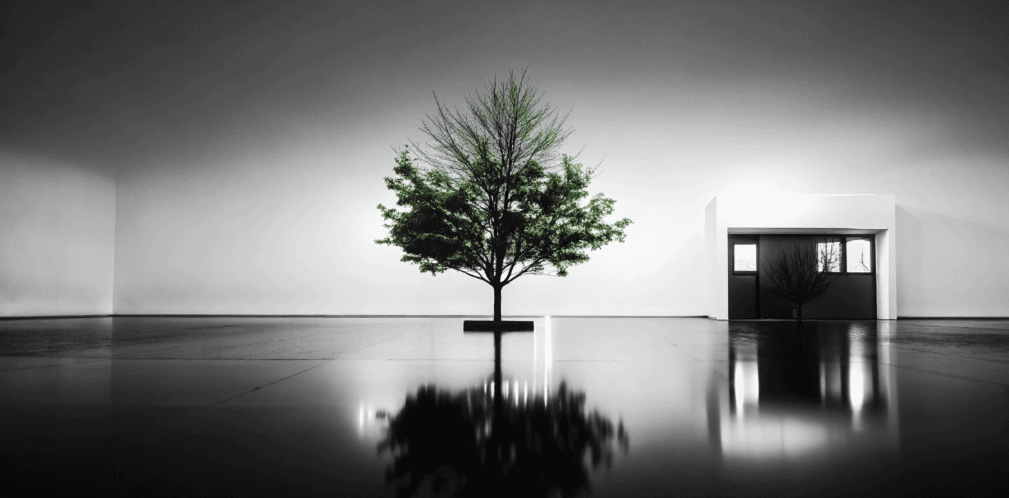 Black and white, minimalist image of a single tree in a large, empty space.