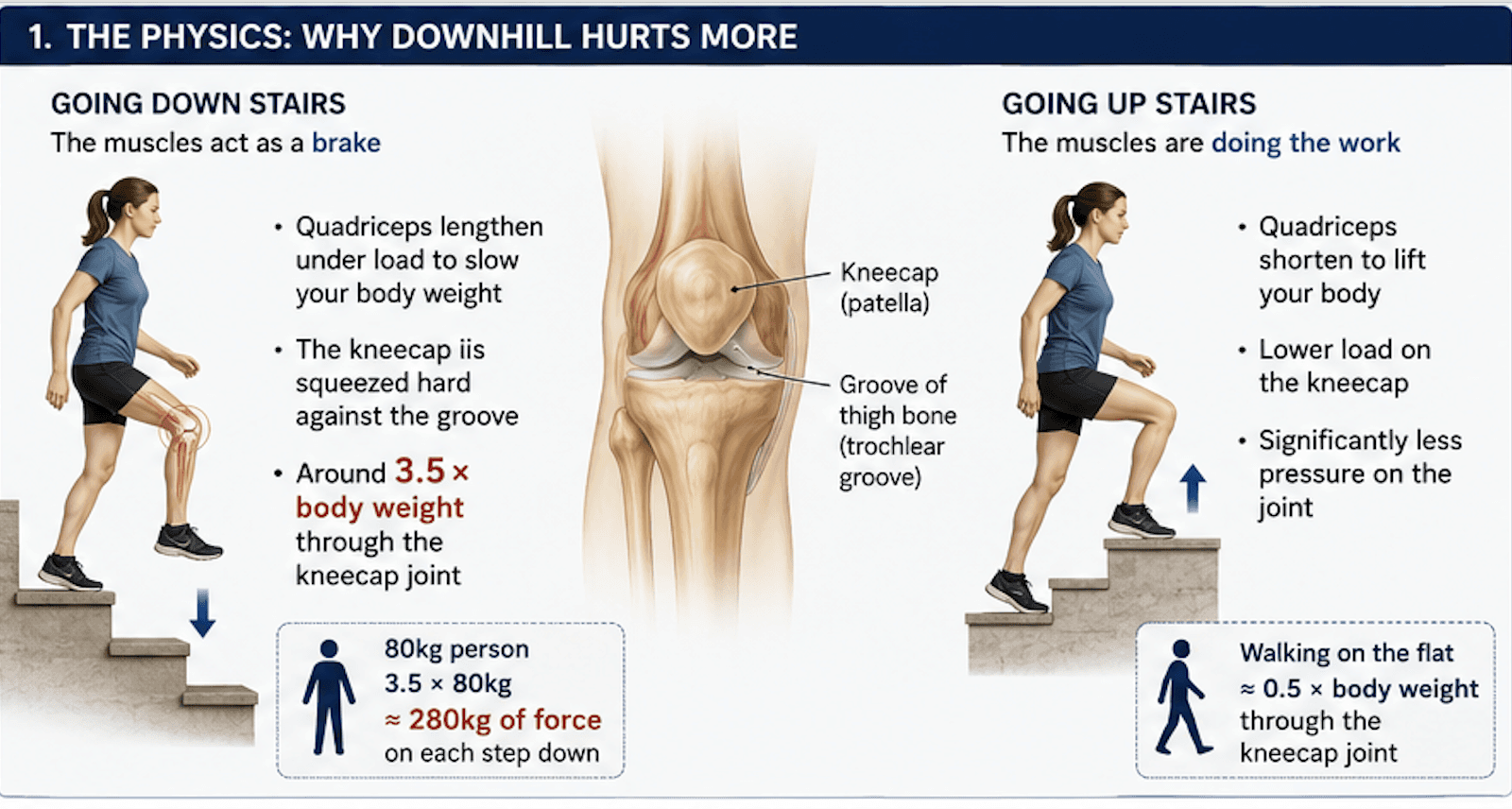 1. The physics: why downhill hurts more