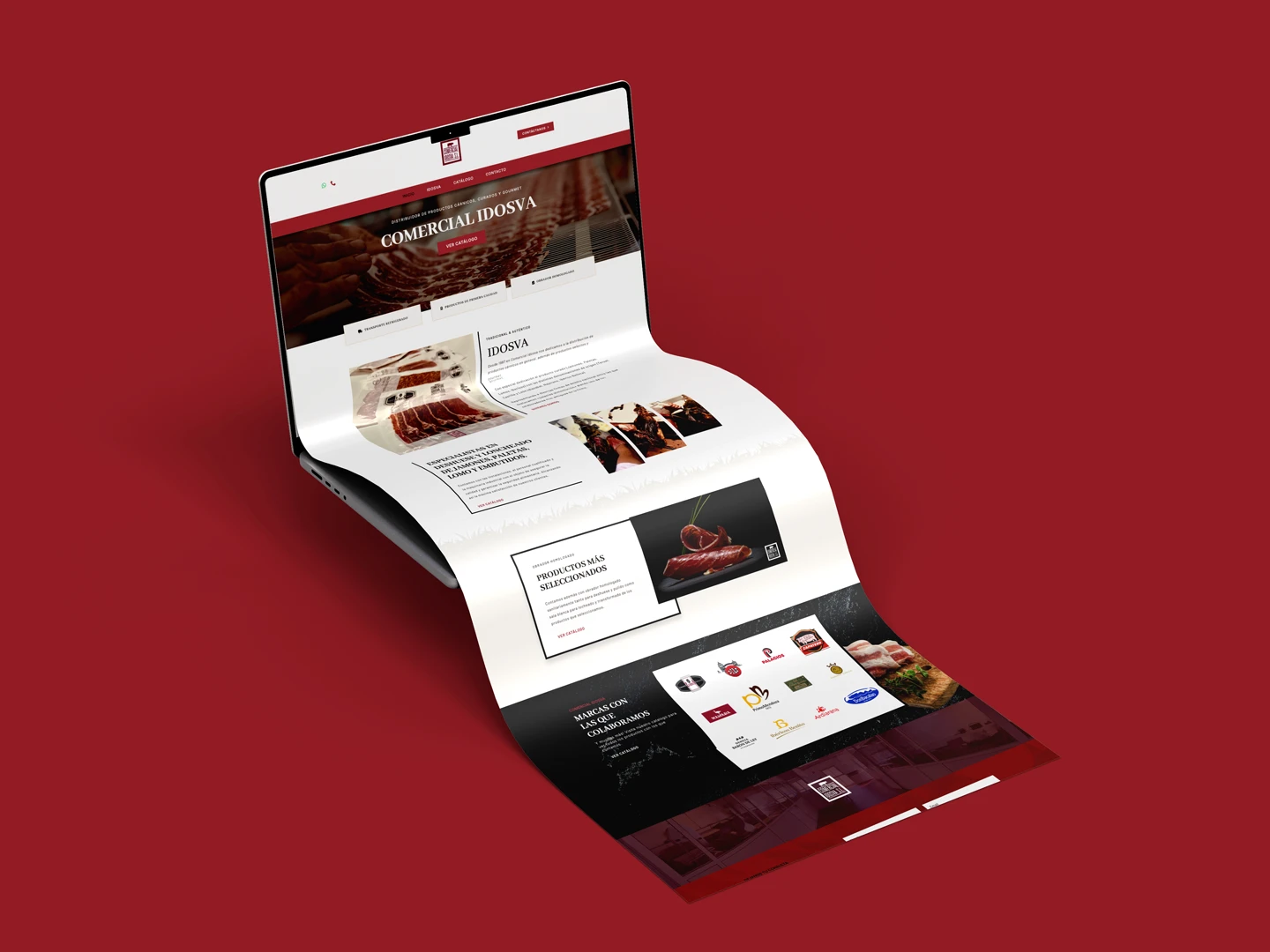 comercial idosva landing page no code development