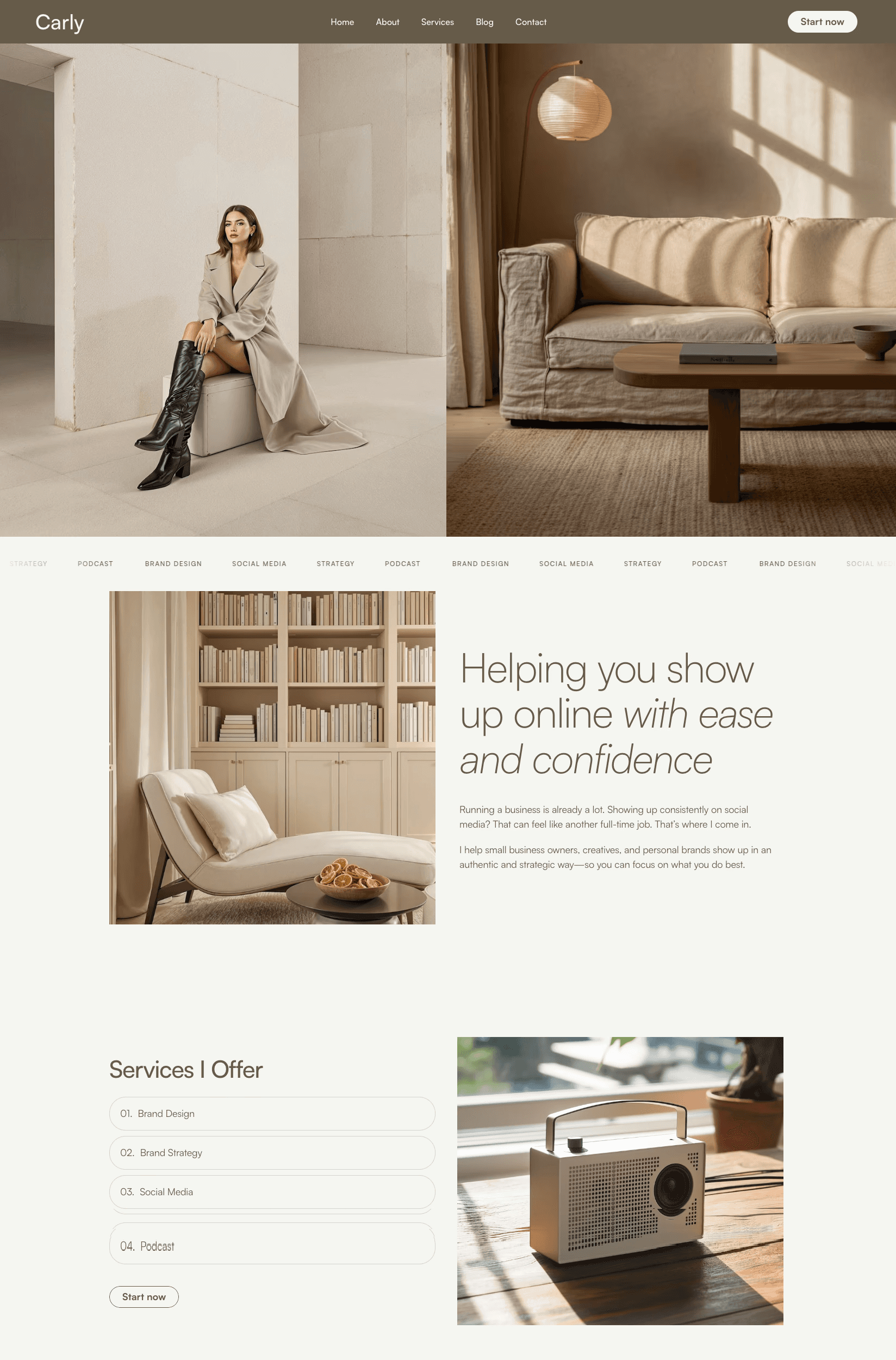 Home page overview of Carly template