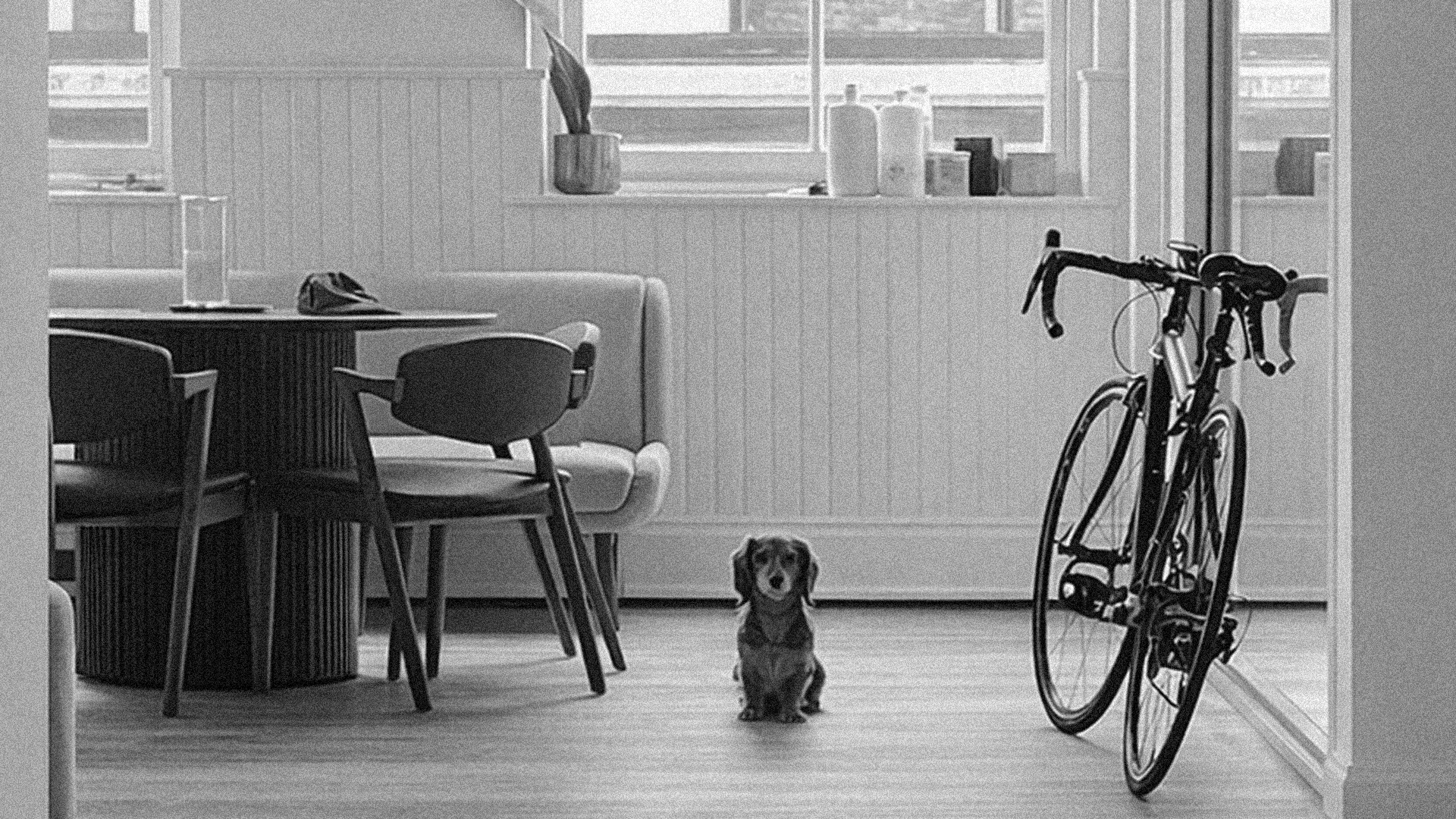 Black and white image of people working at a table with laptops, showing hands gesturing during discussion of digital content displayed on screens, with fabrica® logo in the corner.