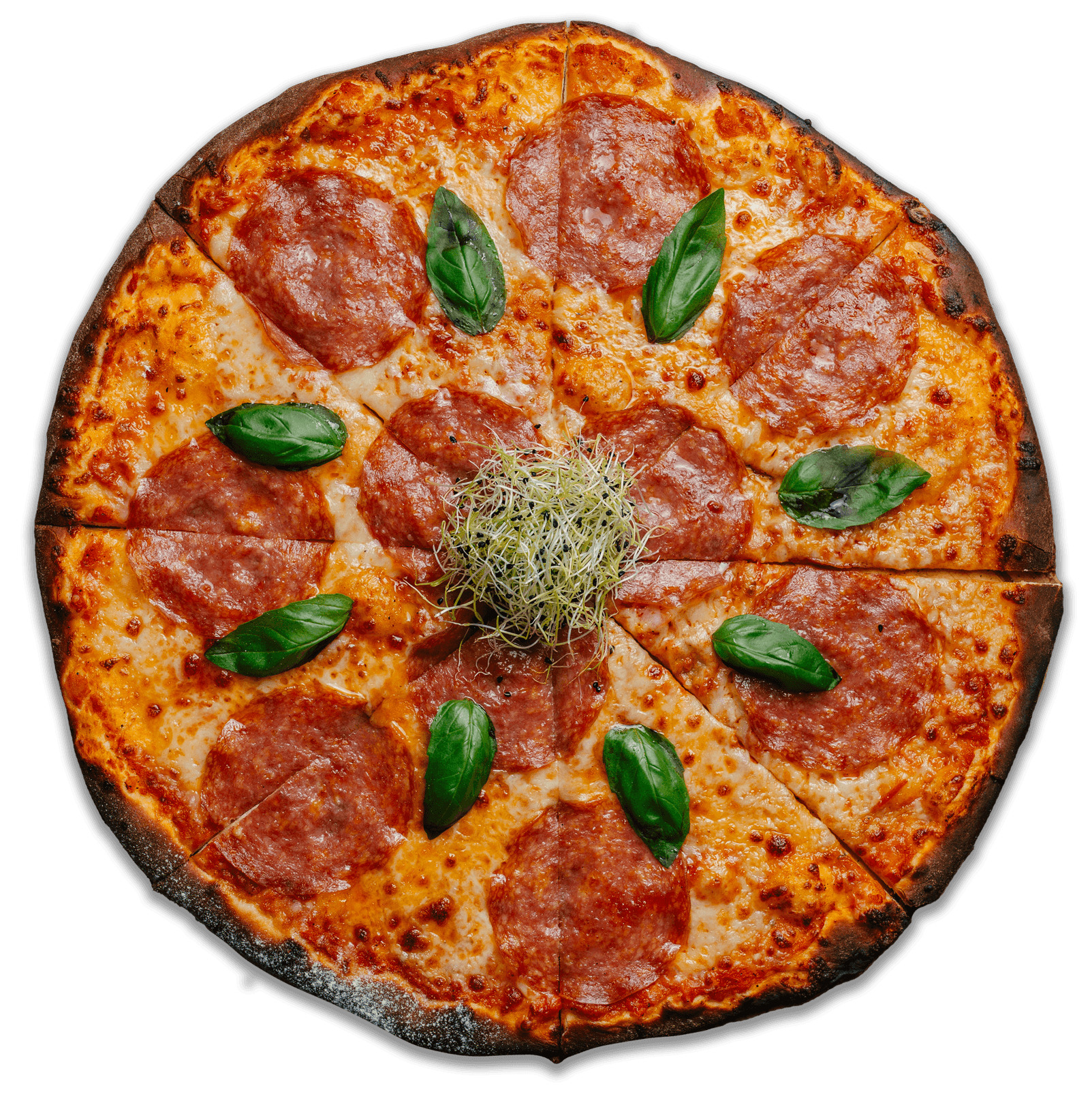 Pizza Margheritta