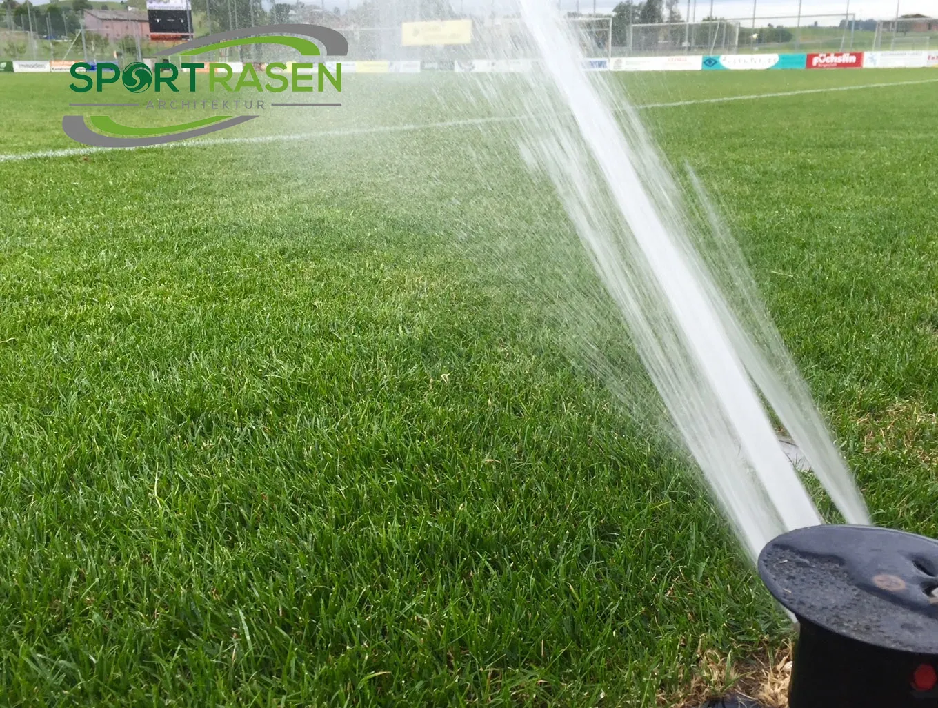 Ist Rasen wässern eine Wasserverschwendung?