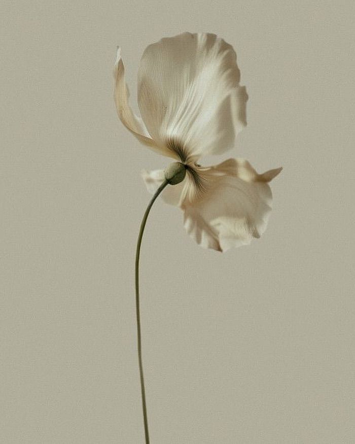 A 3D-rendered tupil flowers on blue background