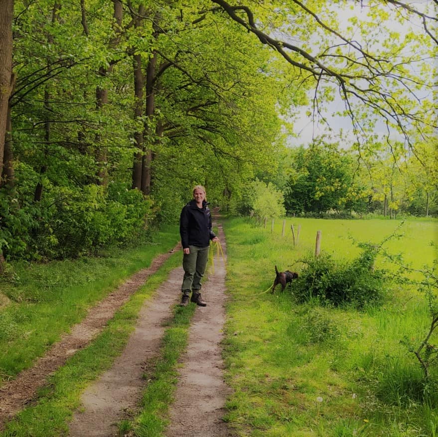 Een relaxte vakantie met je hond: de 3 belangrijkste tips