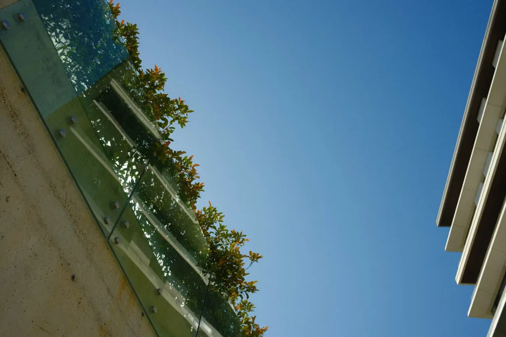 Minimalist corner with glass railing, plants, and open blue sky.