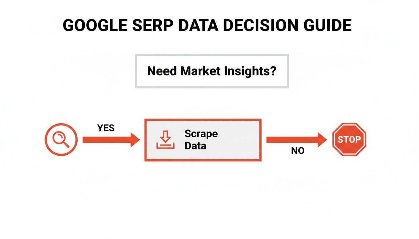 Flowchart for Google SERP data decision: 'Need Market Insights?' If yes, 'Scrape Data'; if no, 'STOP'.