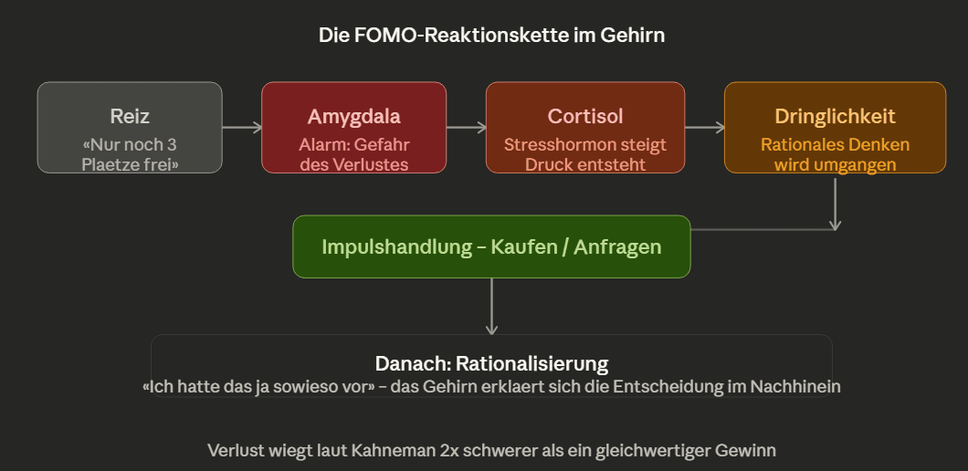 FOMO-Reaktionskette im Gehirn