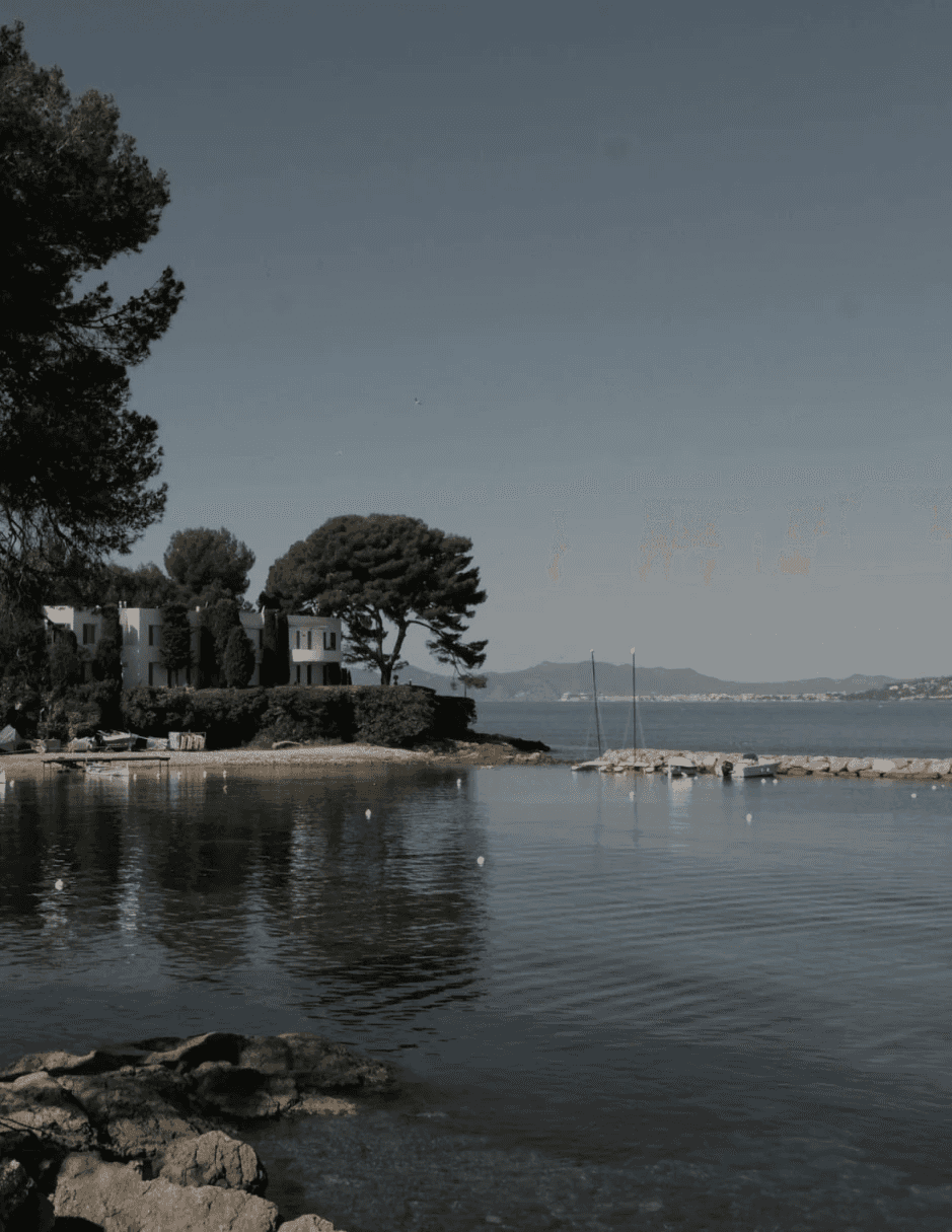 A rustic outdoor table set for a countryside meal, surrounded by tall golden grass and shaded by trees — an idyllic, timeless summer gathering in nature.