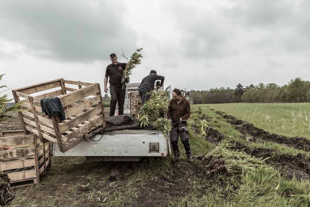 regeneratieve_landbouw_nieuws_koolstof_verwijderings_certificaten