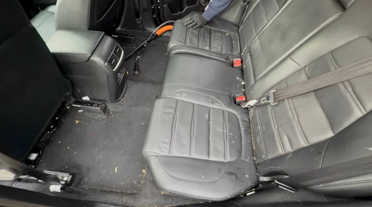 Trusted Car Detailing in Everett