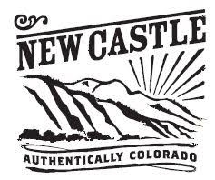 New castle logo
