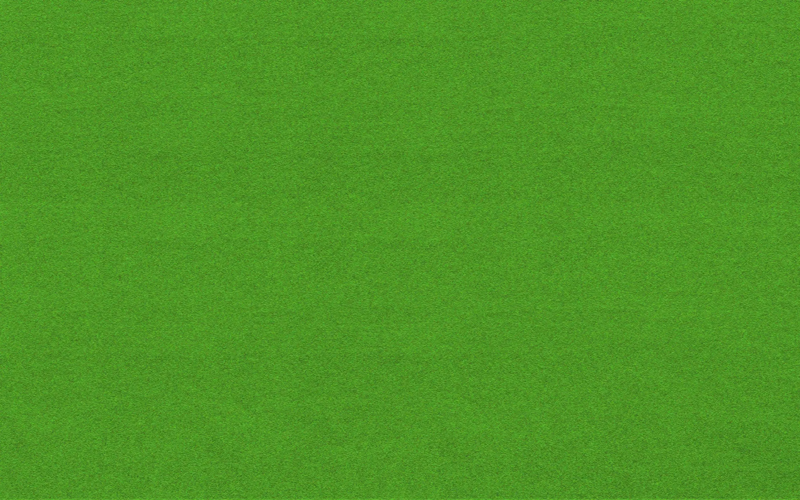 Playful green grass field background representing creative portfolio landing page of Indonesian designer