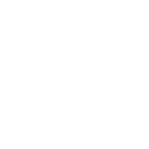 Logo Design Project for a Client