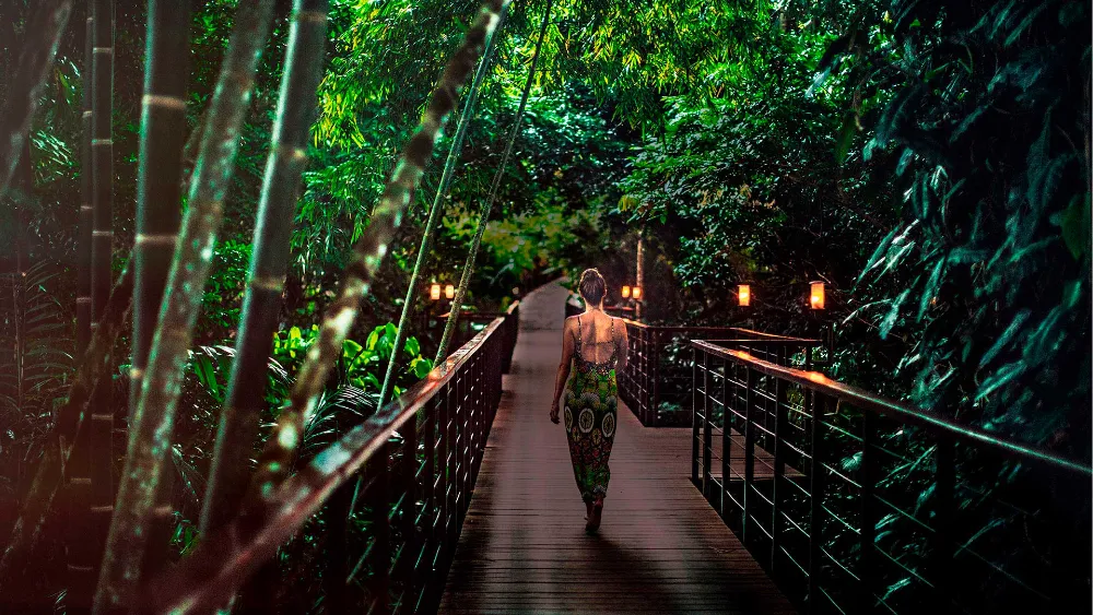 Costa Rican Adventure