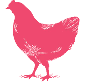 Pink Chicken Logo