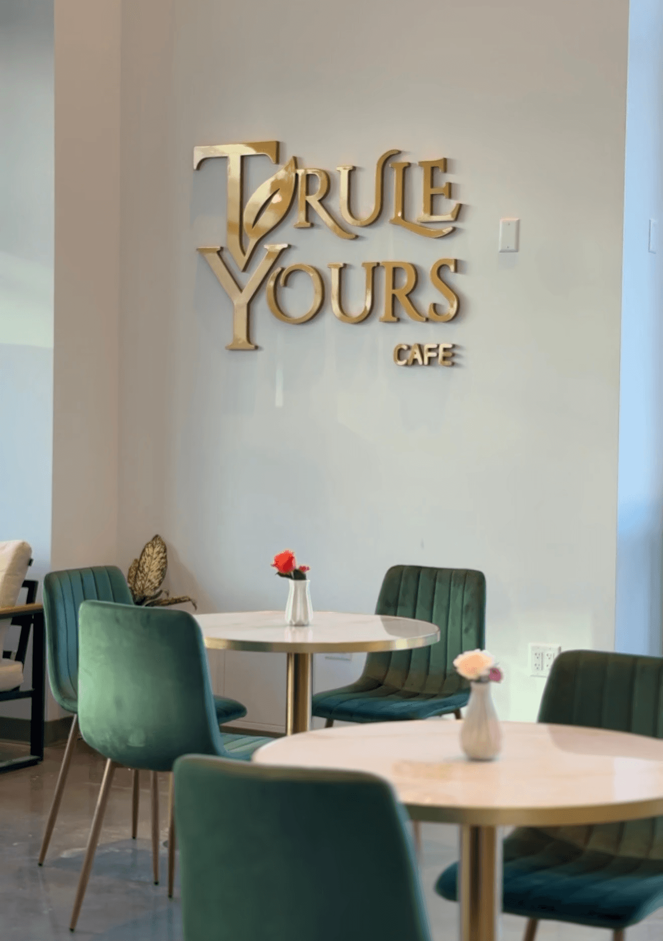 The interior of Trule Yours Cafe located in Seattle