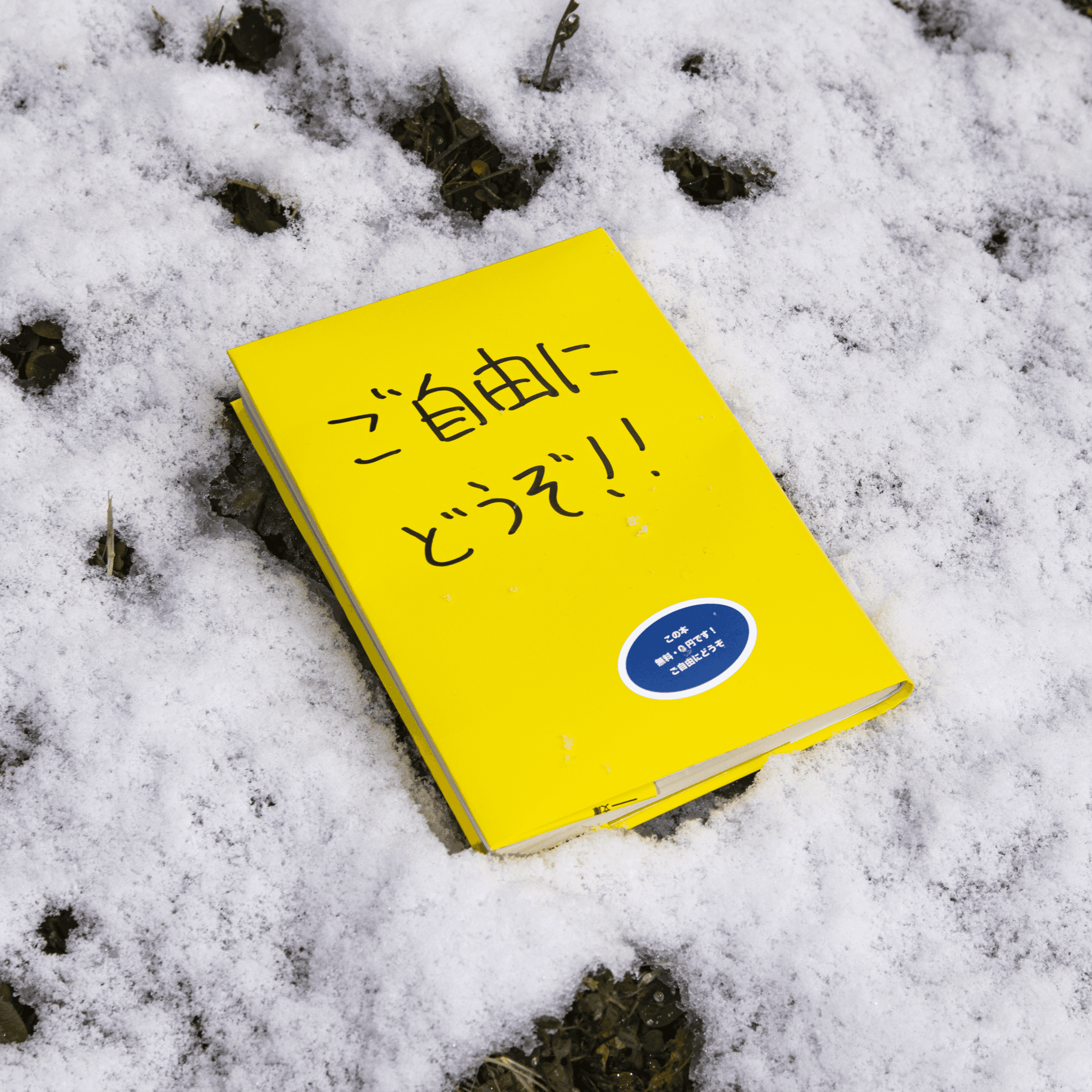 City Lemon Book Cover