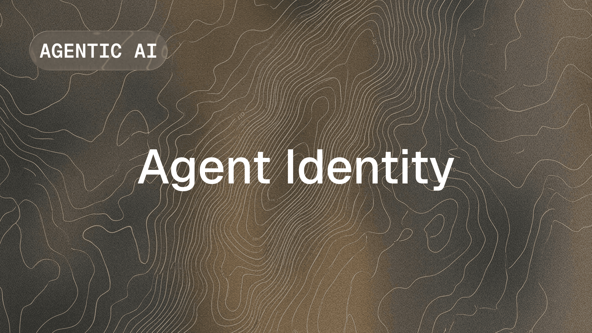AI agent identity management - authentication and authorization for enterprise agents