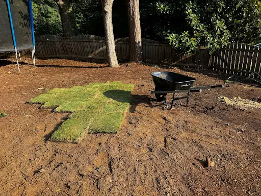 CaneBrake, LawnCare, Lawn,